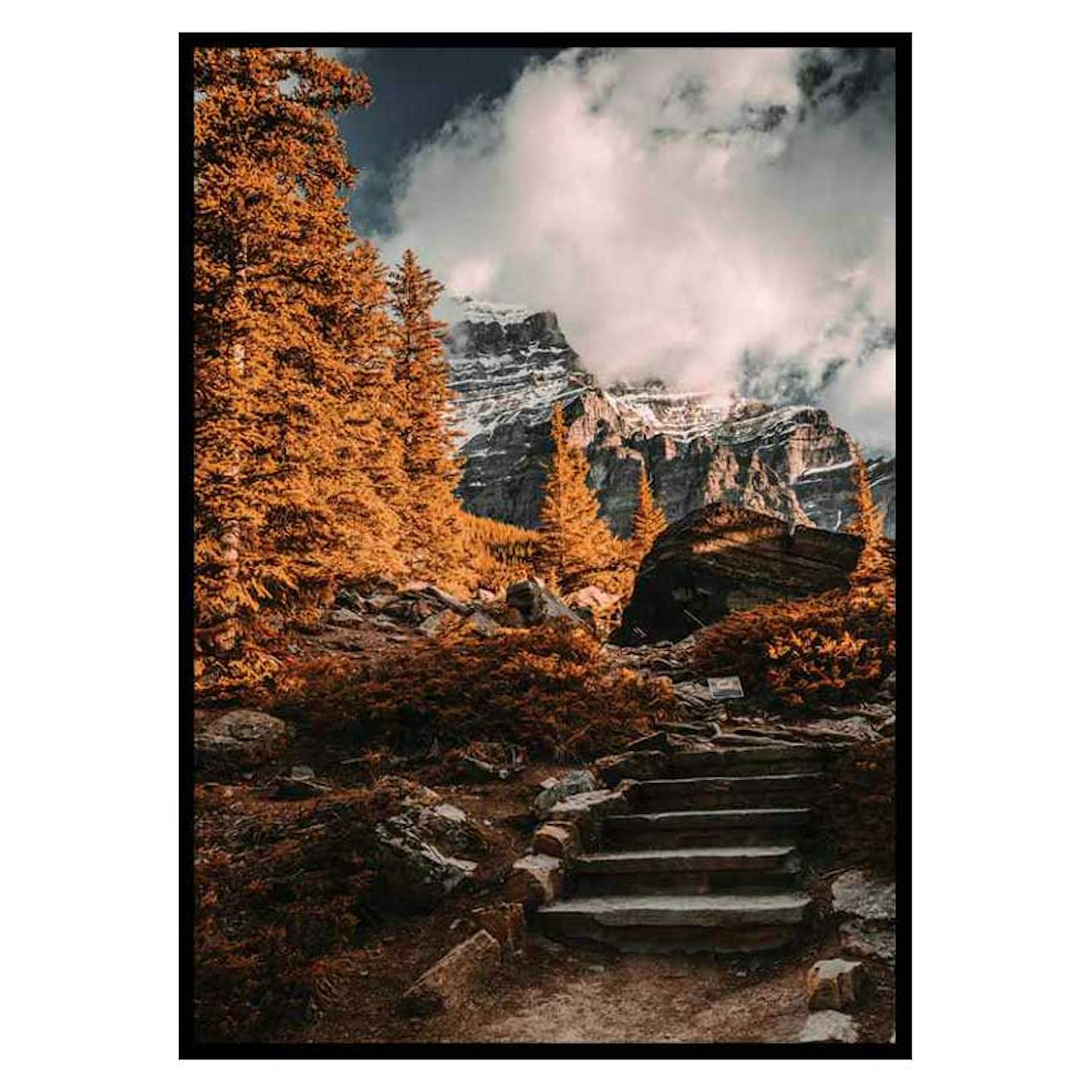 Poster Gallerix Autumn Wilderness