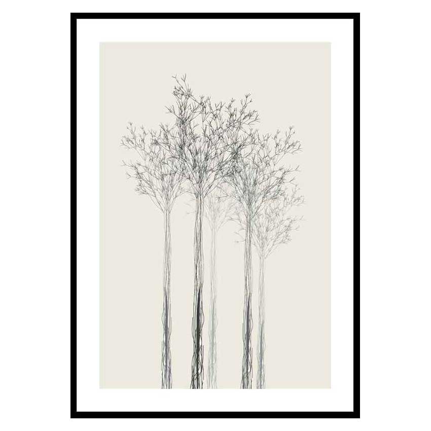 Poster Gallerix Sketched Trees