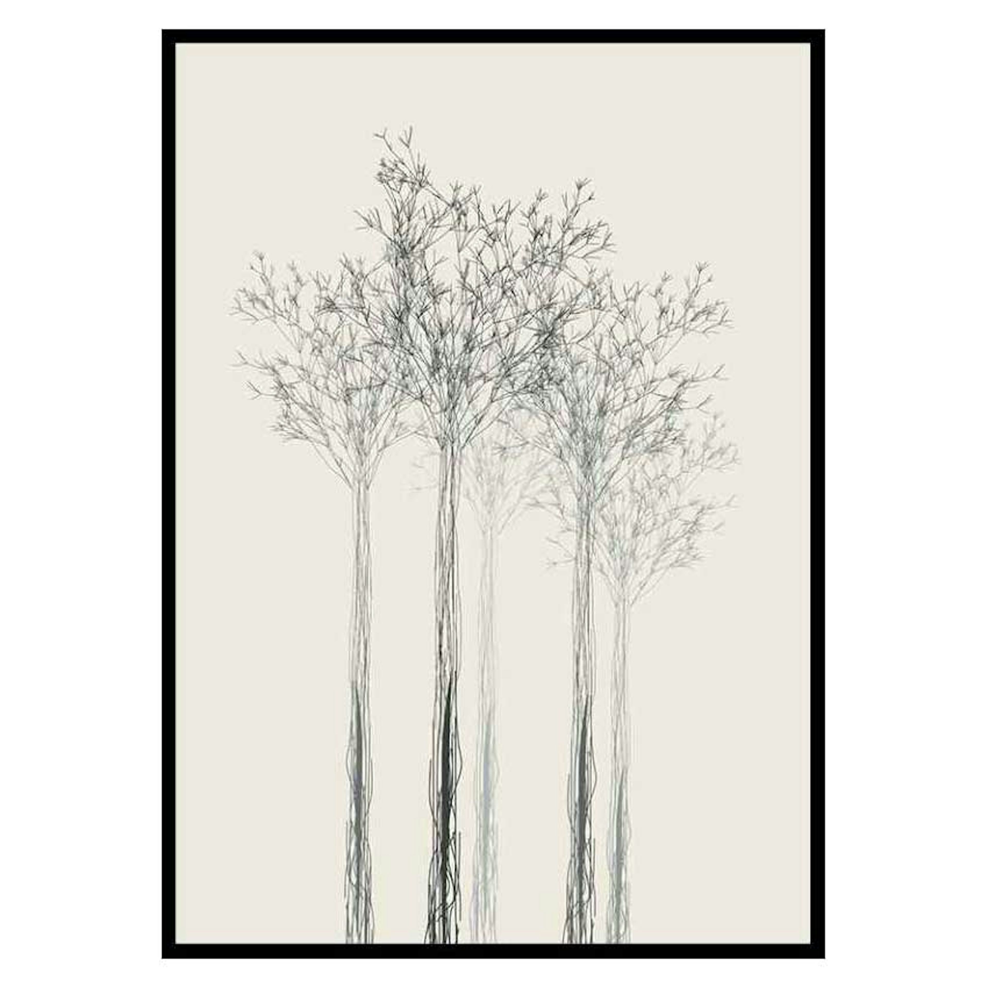 Poster Gallerix Sketched Trees