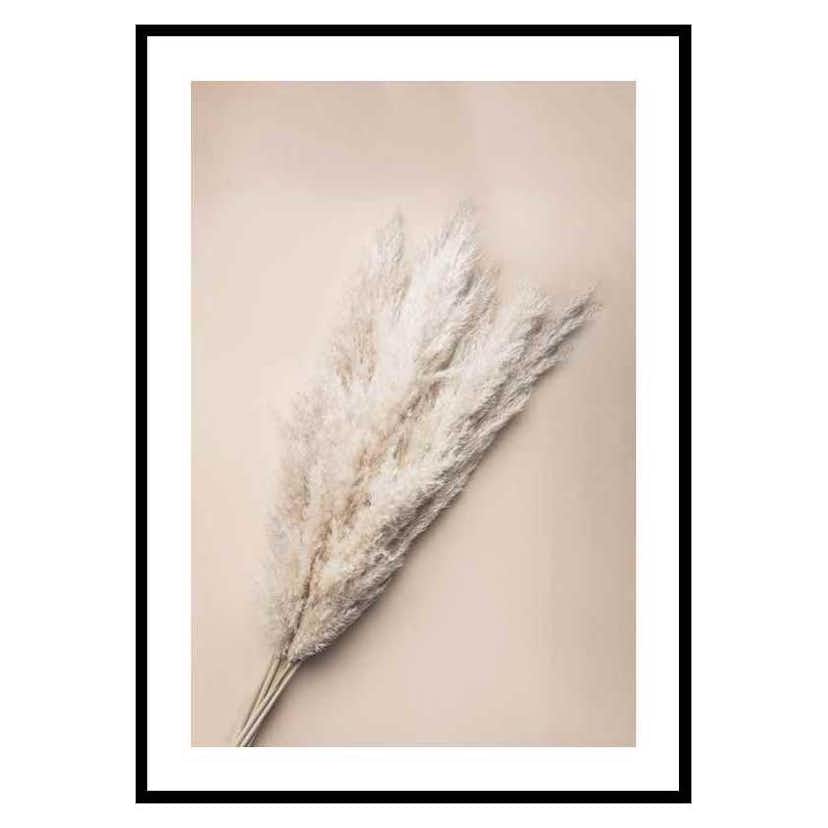 Poster Gallerix Pampas Grass