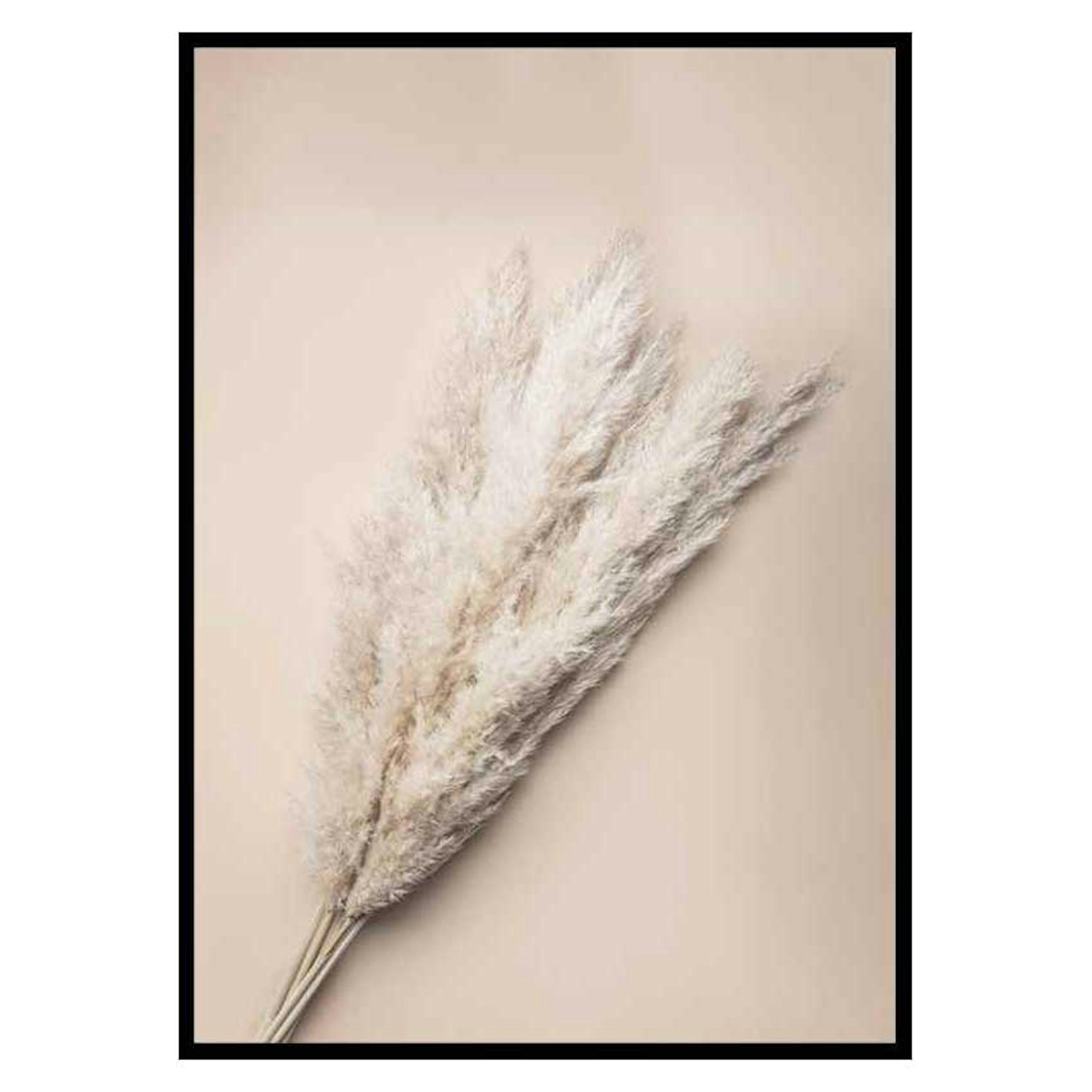 Poster Gallerix Pampas Grass