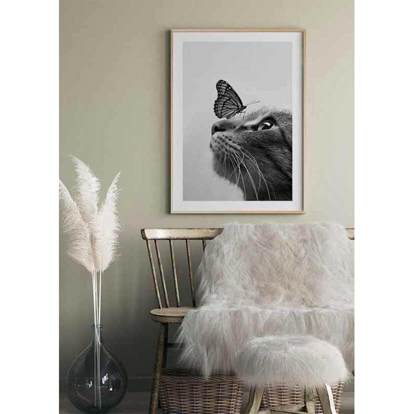 Poster Gallerix Butterfly Cat