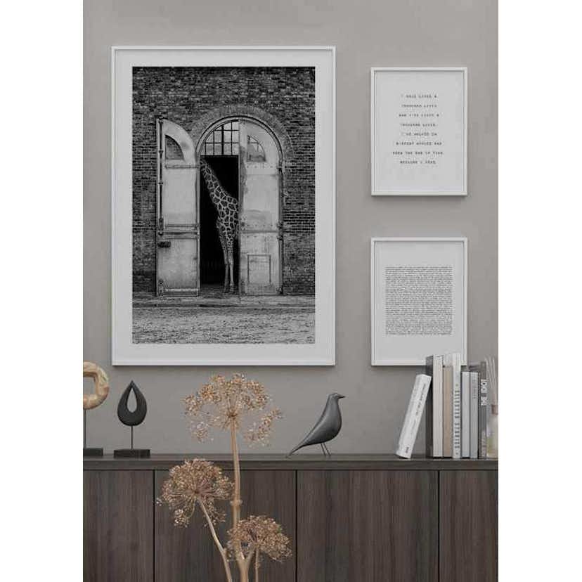 Poster Gallerix Hiding Giraffe 3110