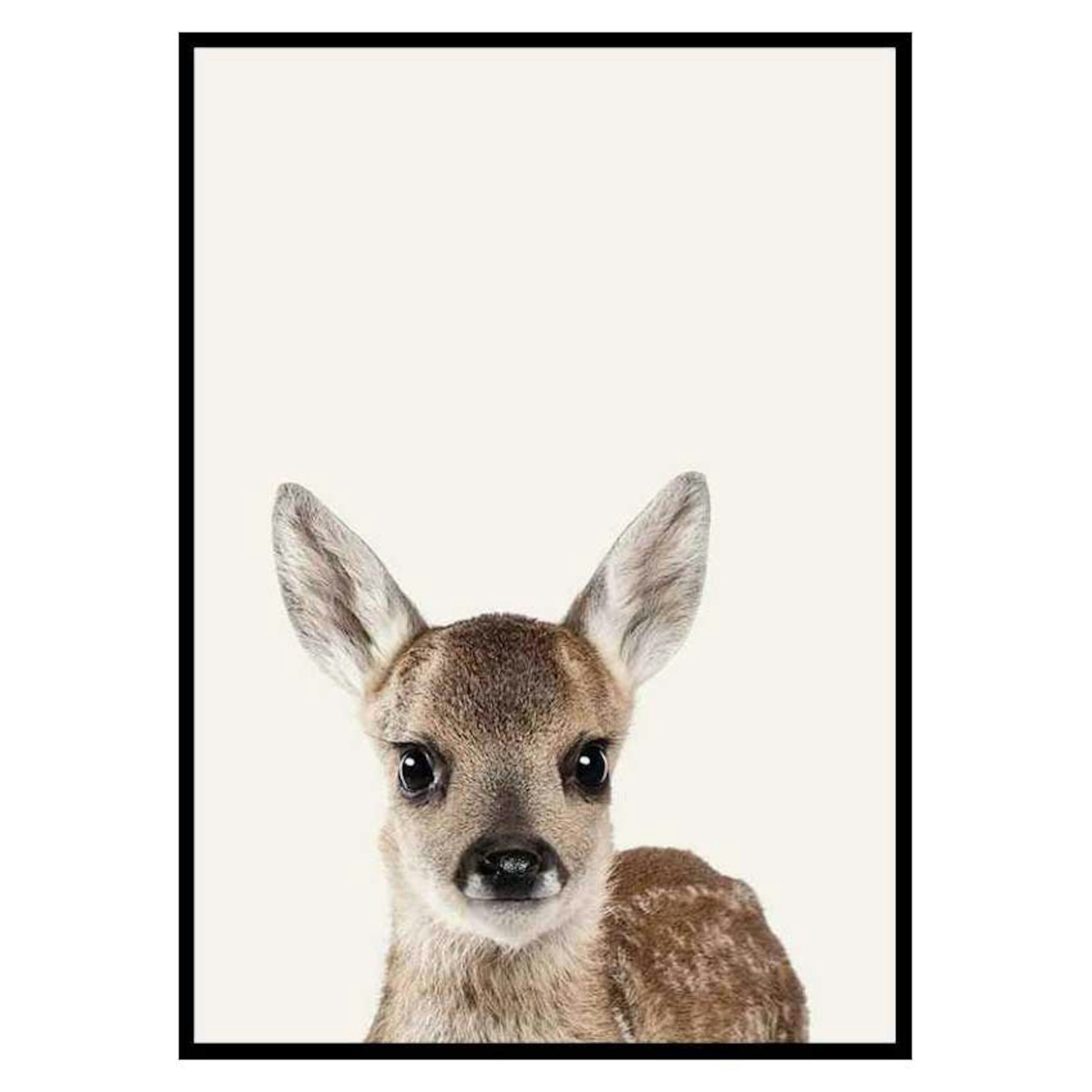 Poster Gallerix Baby Deer