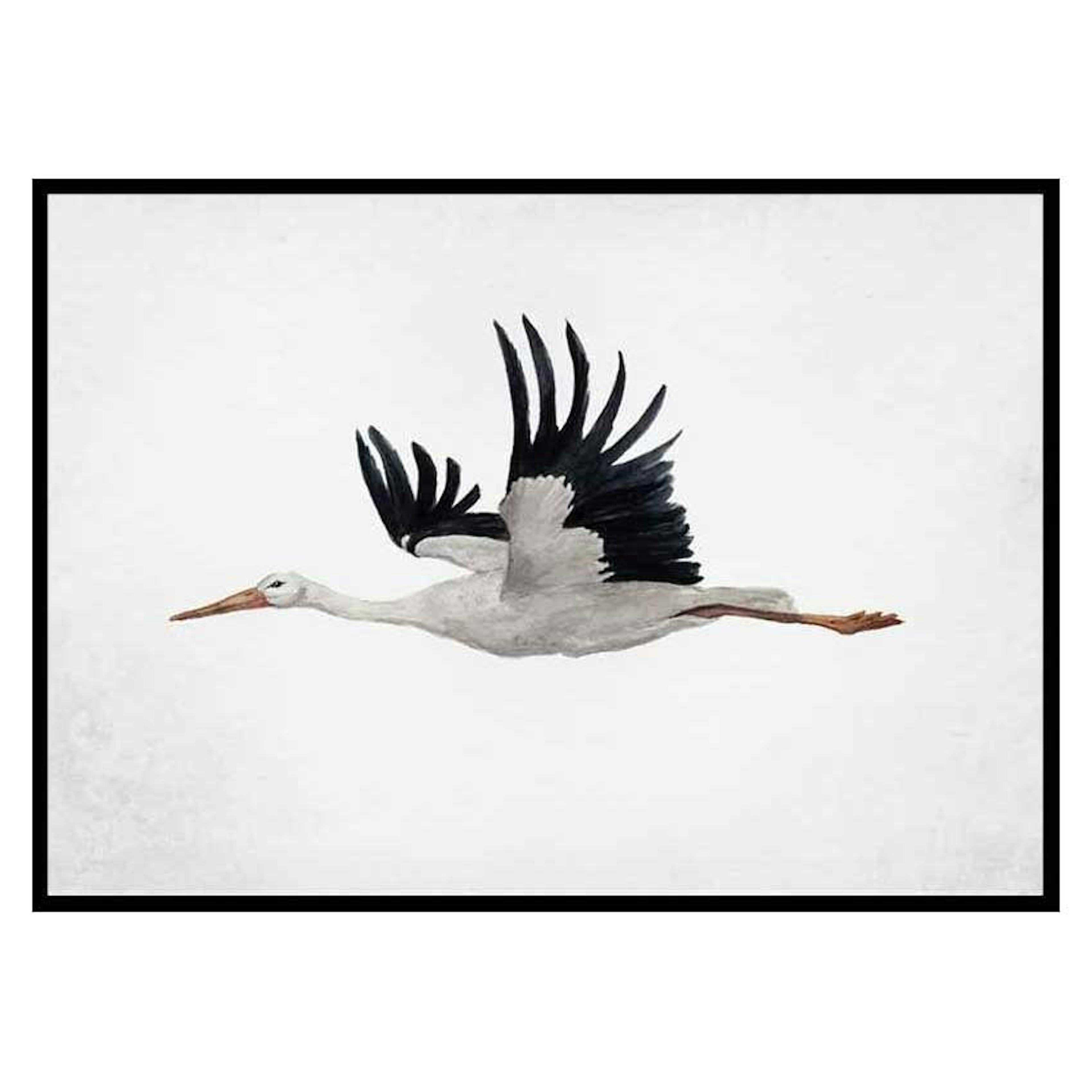 Poster Gallerix Watercolor Stork