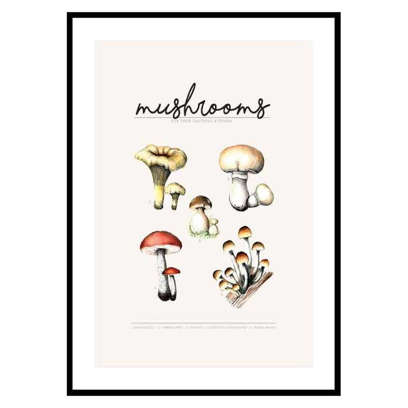 Poster Gallerix Mushrooms