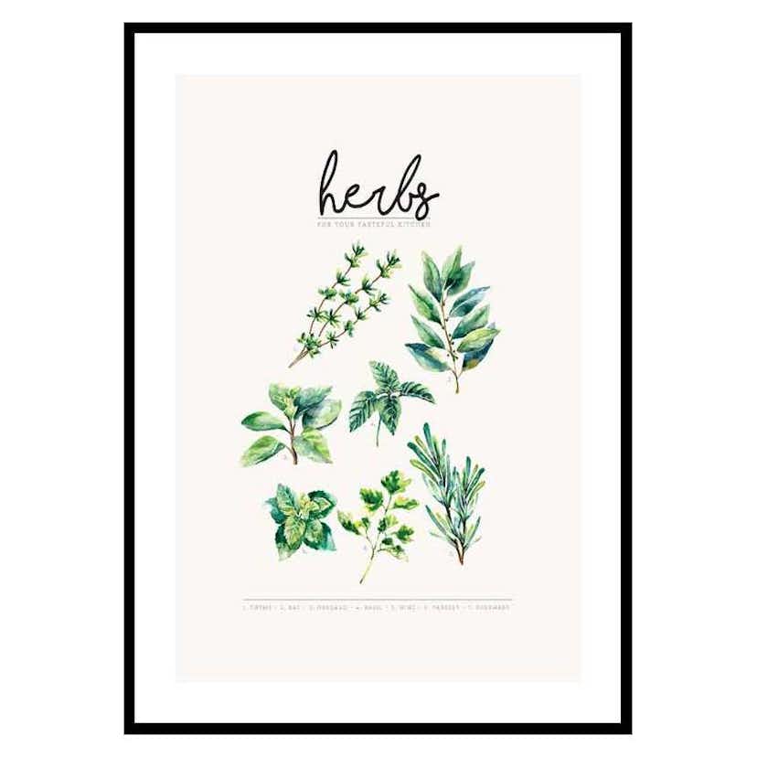 Poster Gallerix Herbs