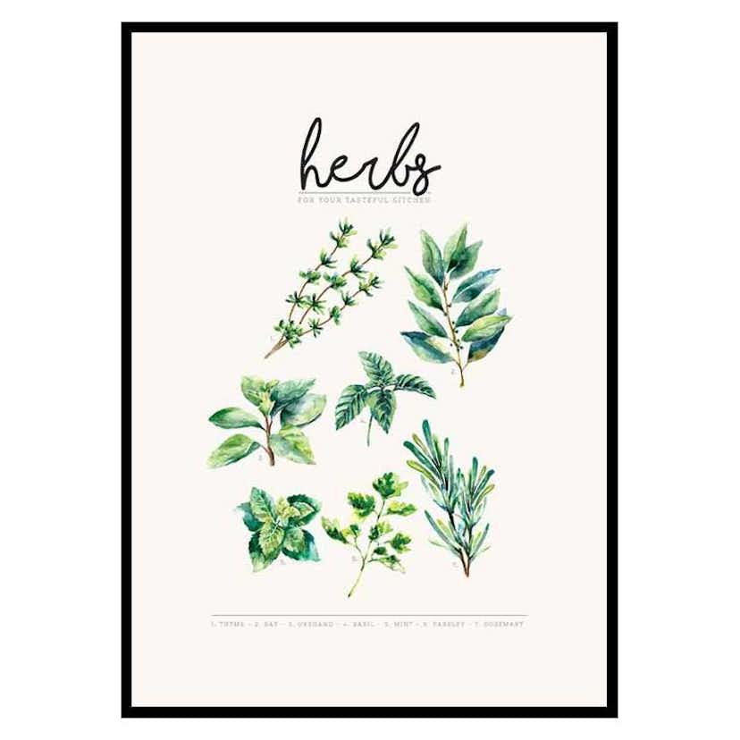 Poster Gallerix Herbs