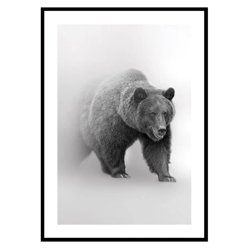 Poster Gallerix Faded Bear