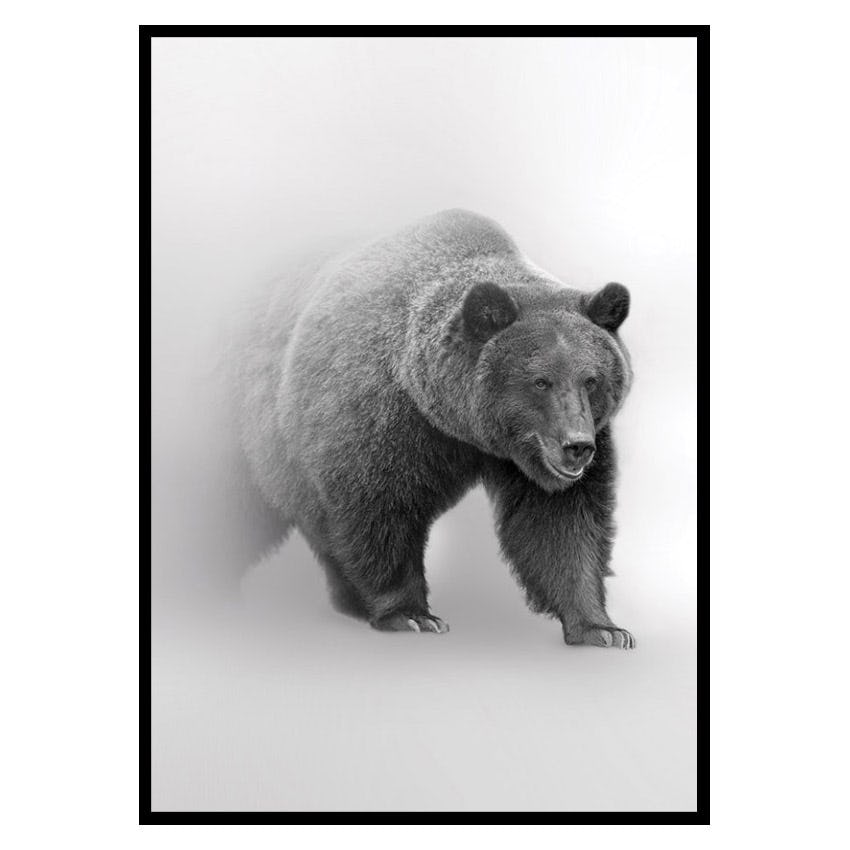 Poster Gallerix Faded Bear