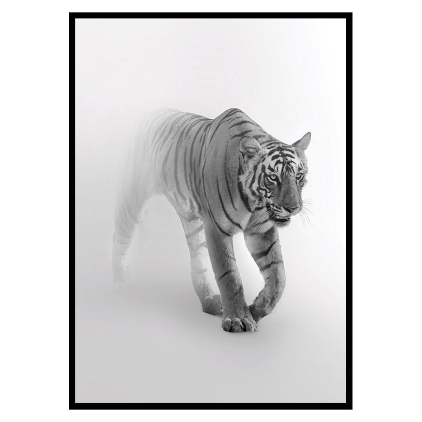 Poster Gallerix Faded Tiger