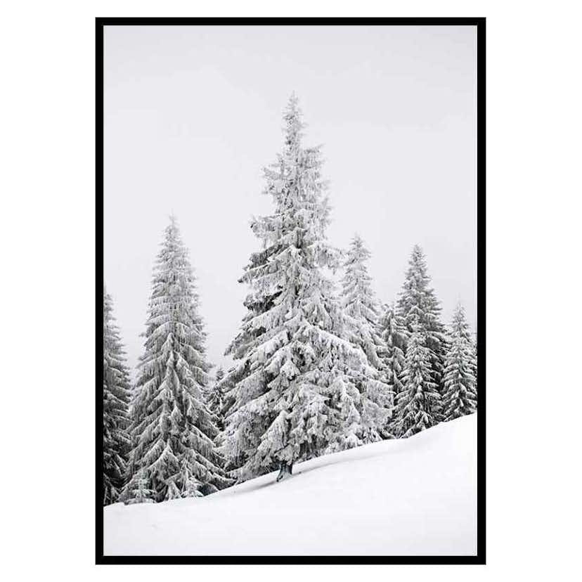 Poster Gallerix Spruce In Winter
