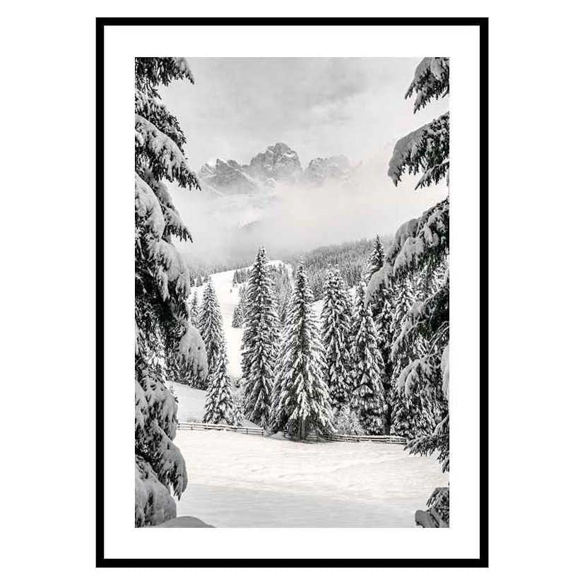 Poster Gallerix Between Spruces