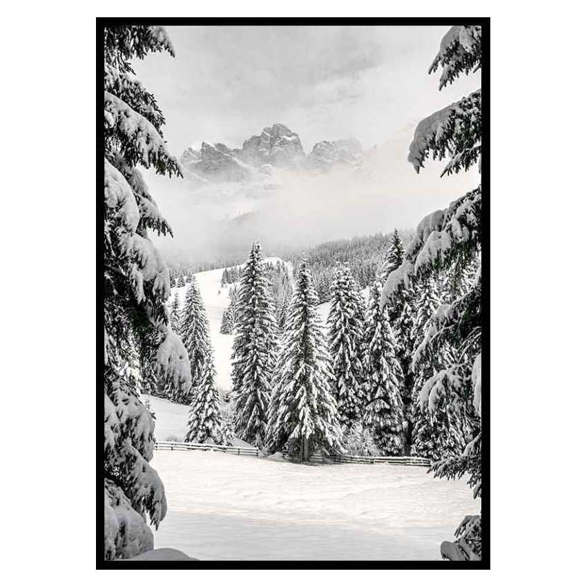 Poster Gallerix Between Spruces