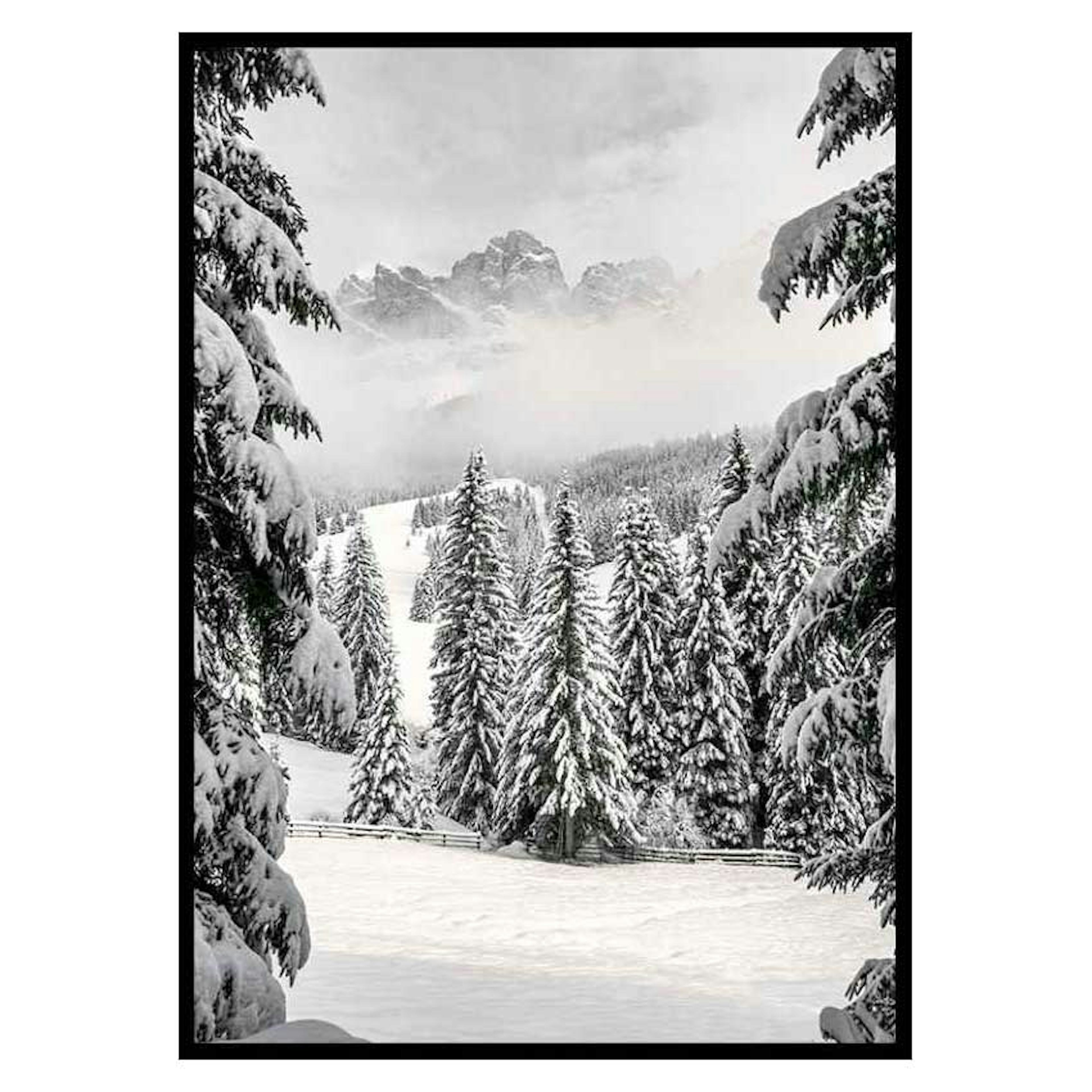 Poster Gallerix Between Spruces