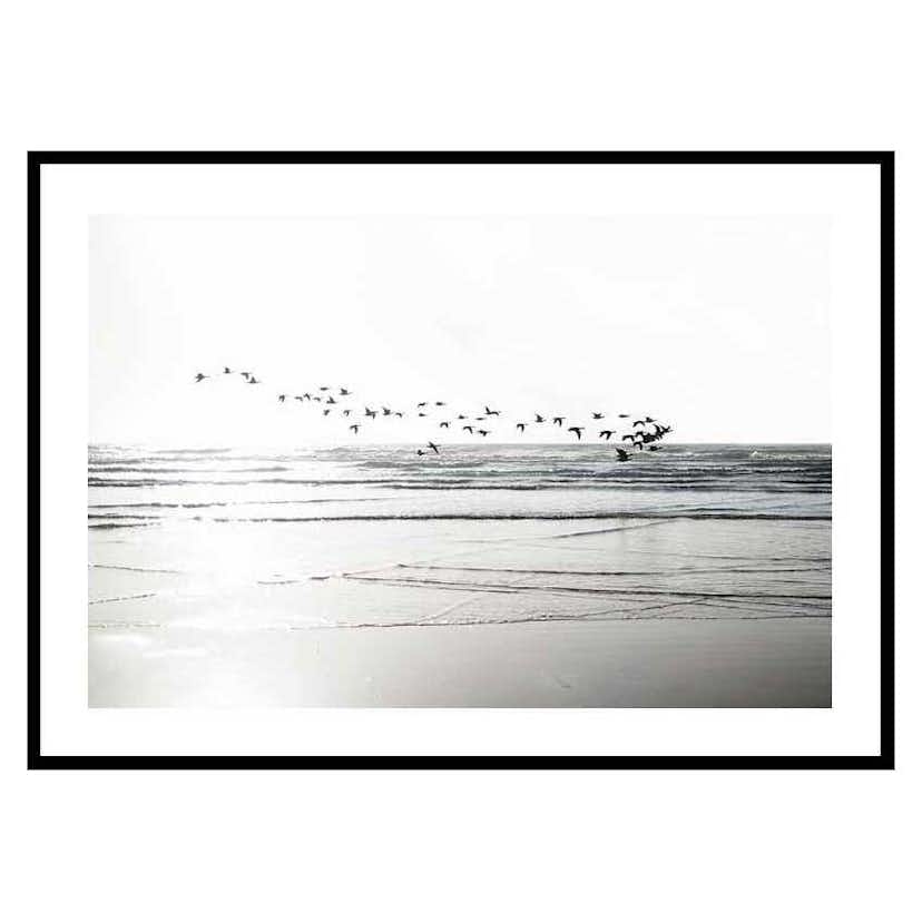 Poster Gallerix Birds Over Beach