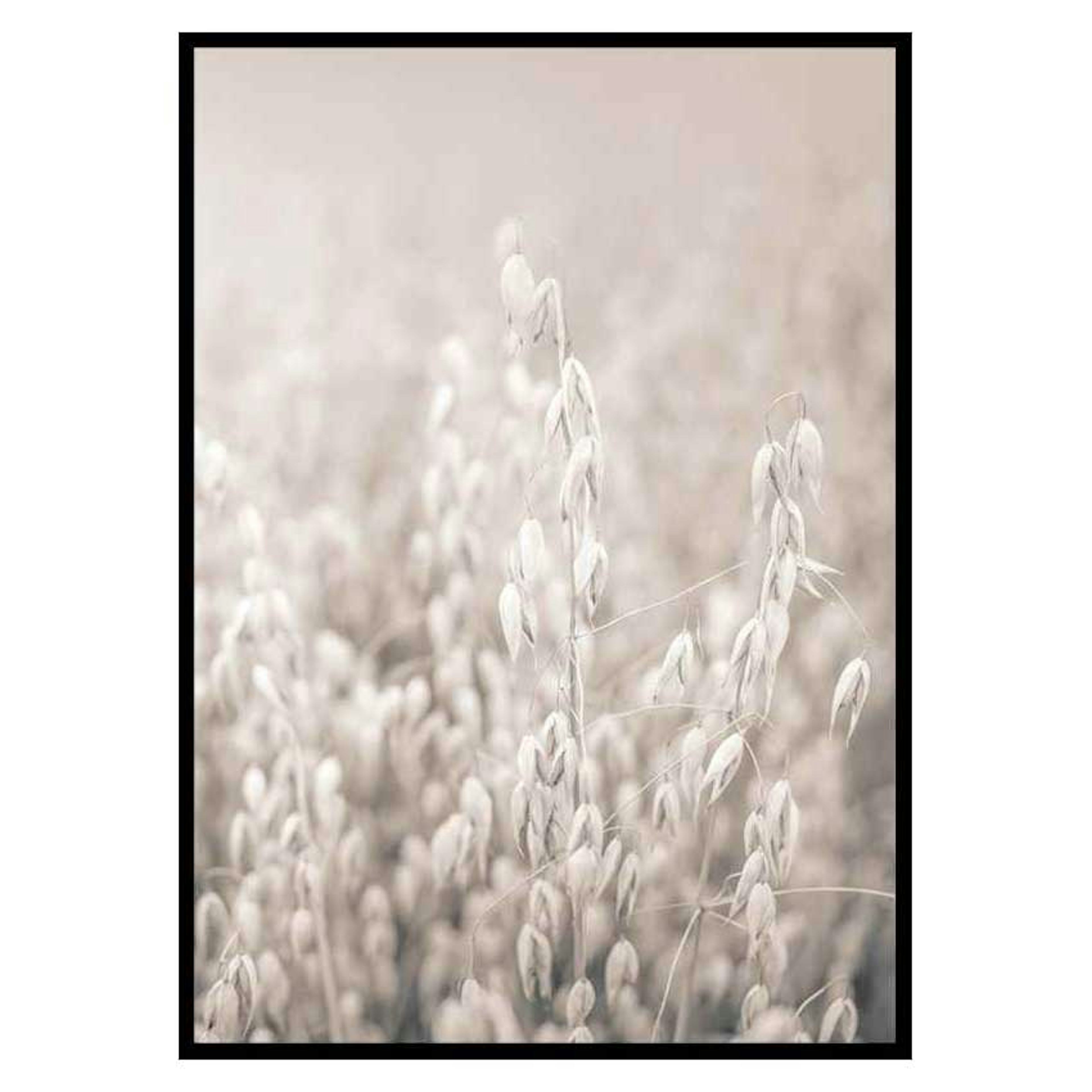 Poster Gallerix Oats No2