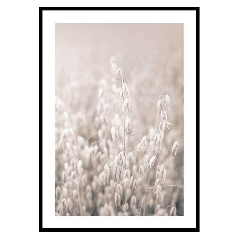 Poster Gallerix Oats No2