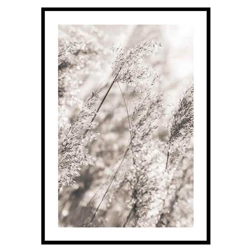 Poster Gallerix Dried Plants No3