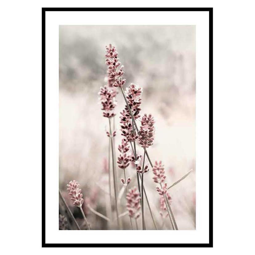 Poster Gallerix Dried Plants No4