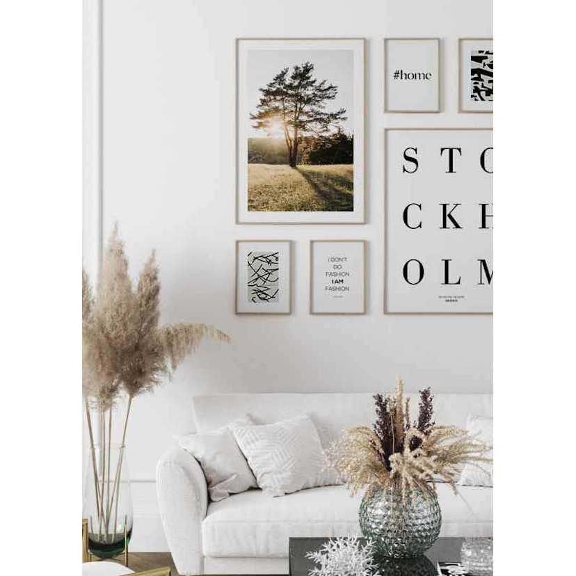 Poster Gallerix Tree in Sunlight