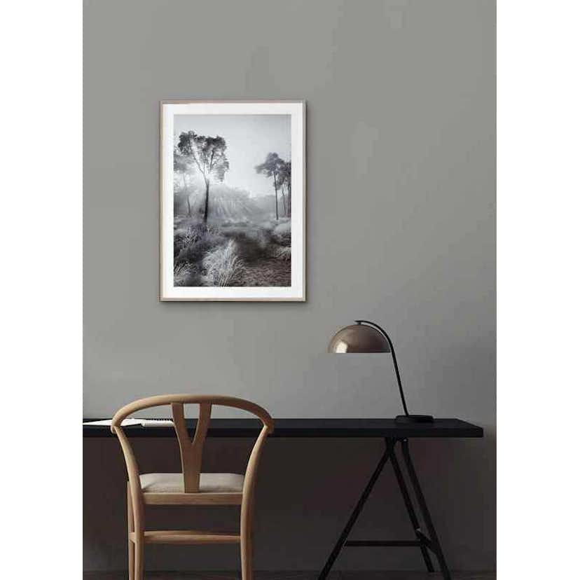 Poster Gallerix Winter Sunrays