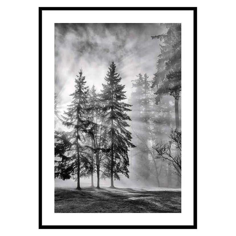 Poster Gallerix Sunrays Through Trees