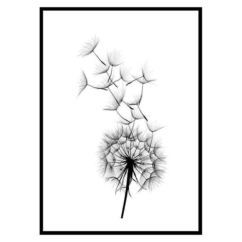 Poster Gallerix Dandelion Wish