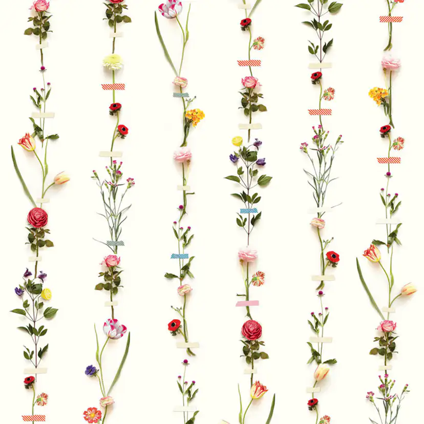 Fototapet Eijffinger PIP 2014 341087