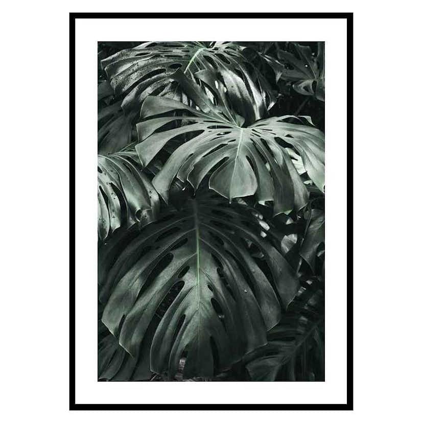 Poster Gallerix Monstera No3
