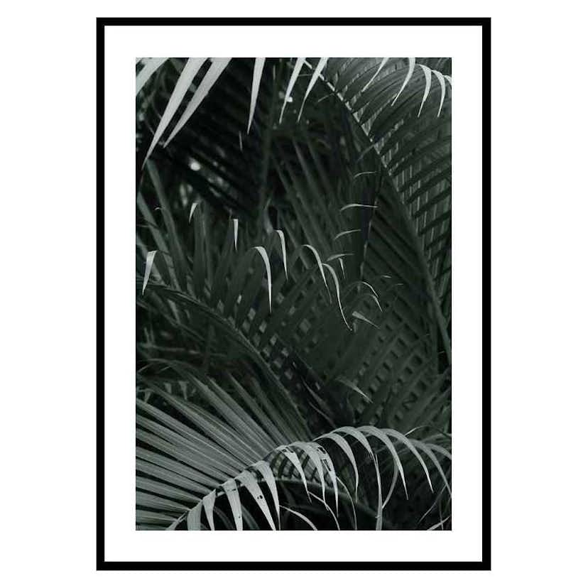 Poster Gallerix Palm Leaf No1