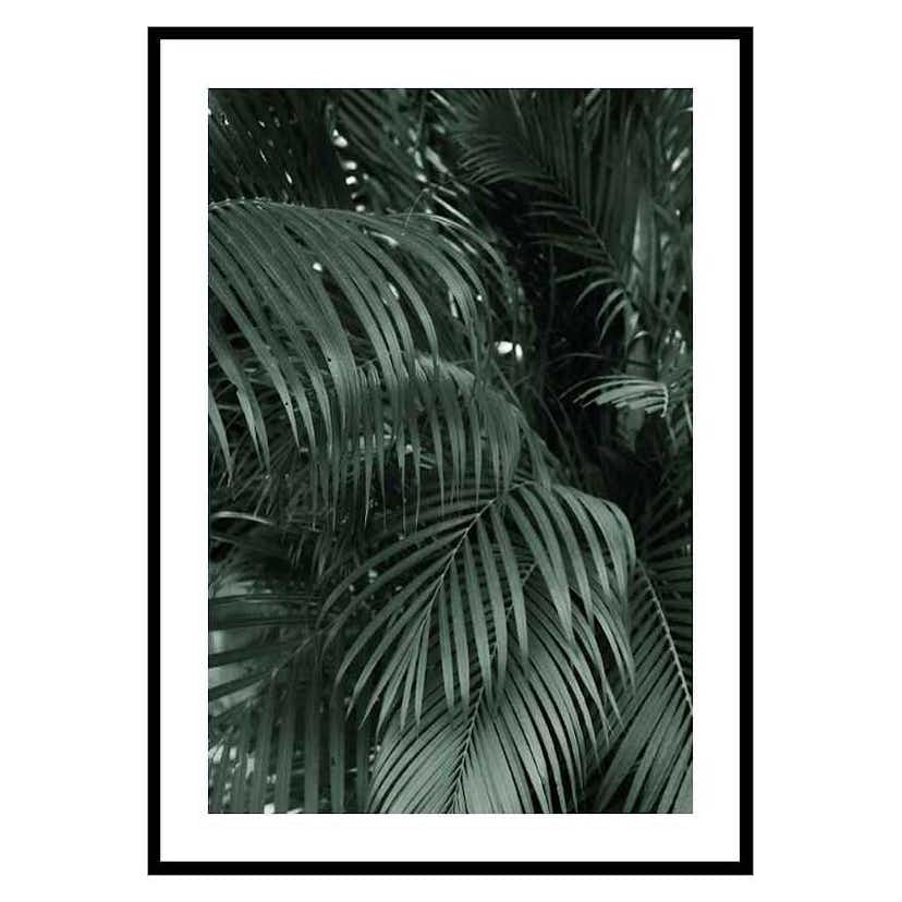 Poster Gallerix Palm Leaf No2