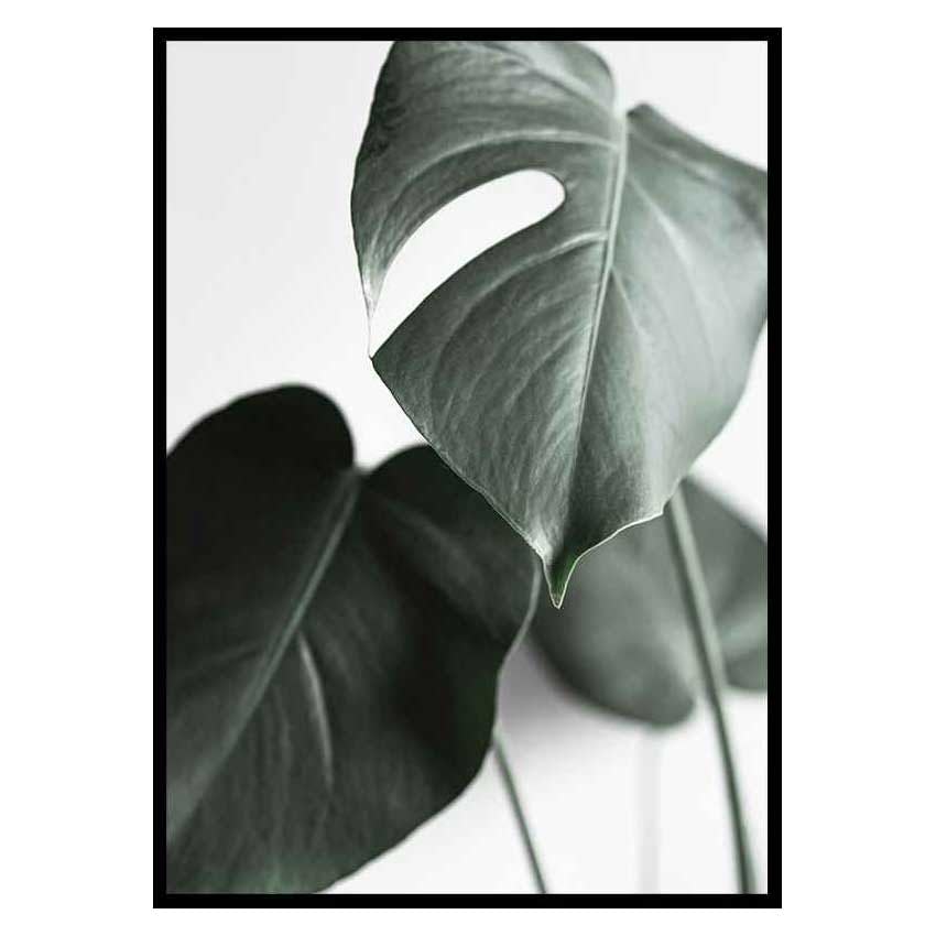 Poster Gallerix Green Leaves No1