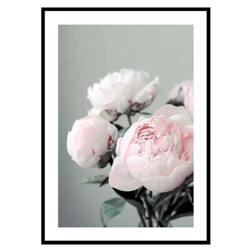 Poster Gallerix Pink peonies No1