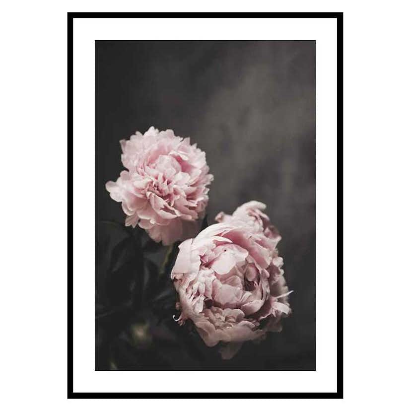 Poster Gallerix Pink peonies No2