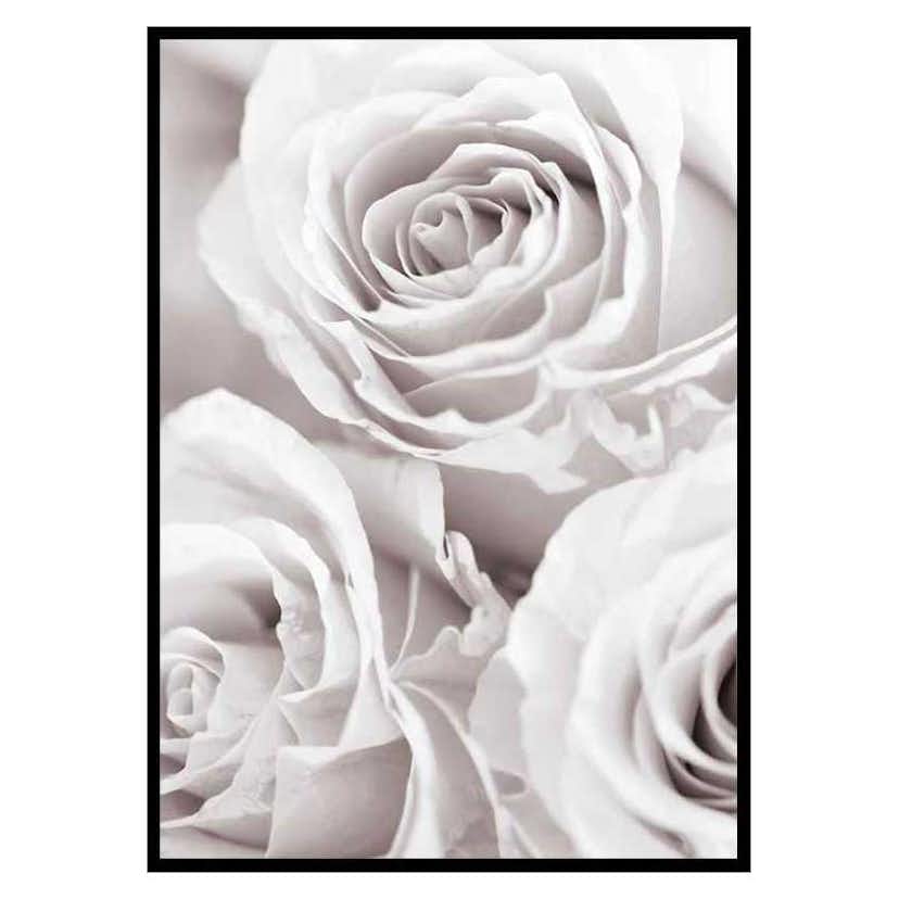 Poster Gallerix Bright Pink Roses No1