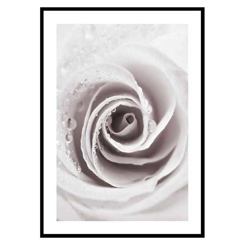 Poster Gallerix Bright Pink Rose No1
