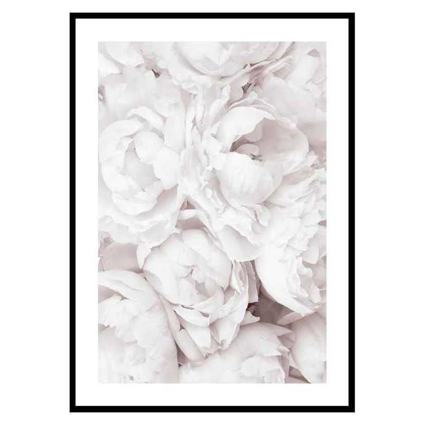 Poster Gallerix Bright Pink Roses No3
