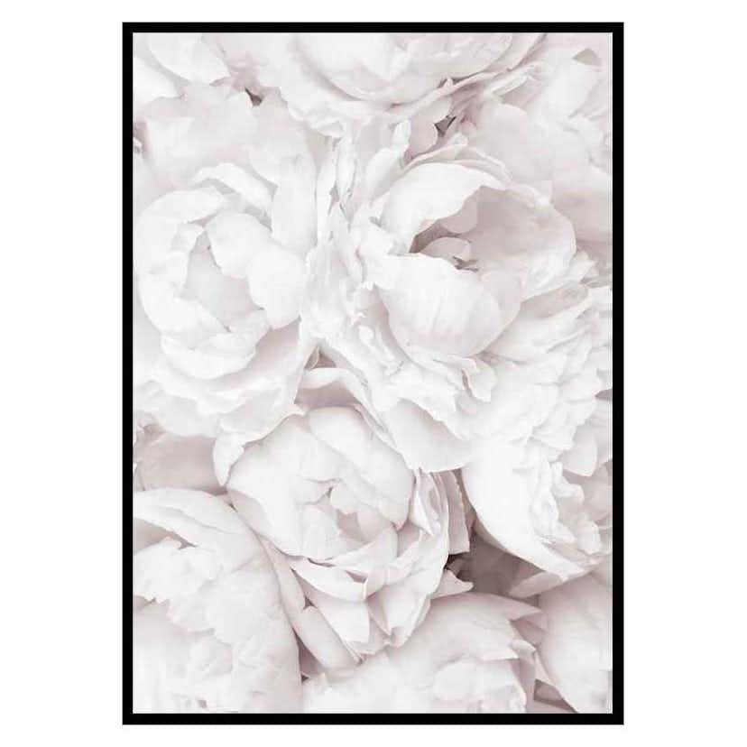 Poster Gallerix Bright Pink Roses No3