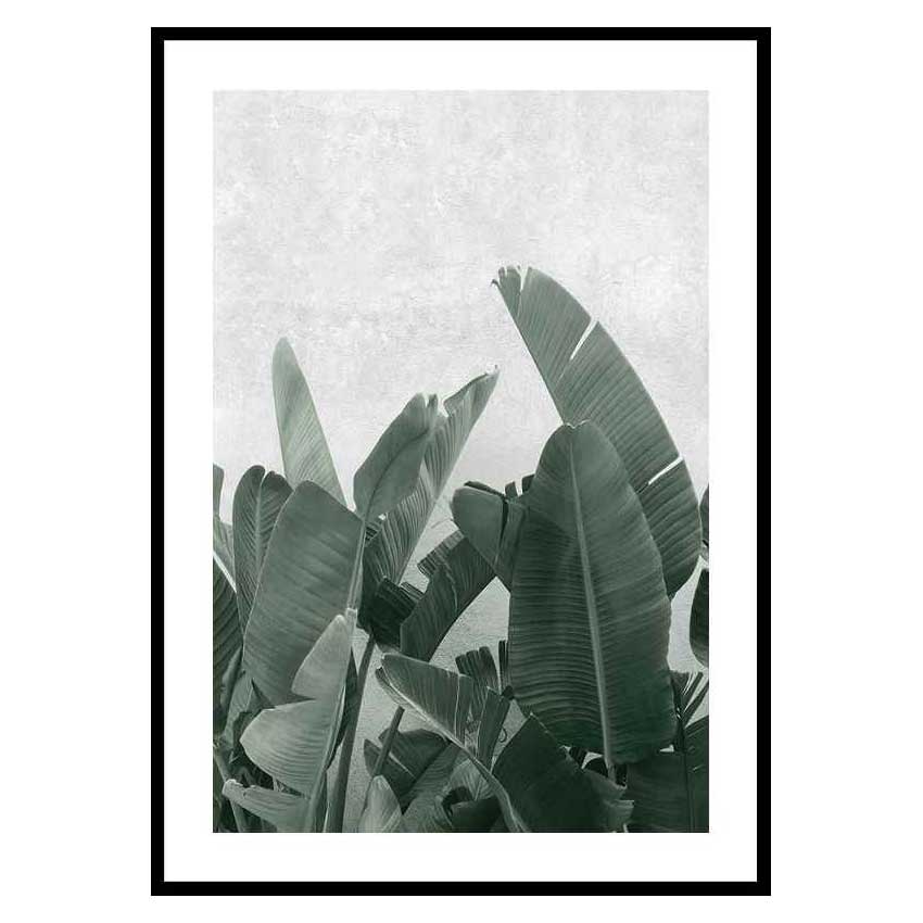 Poster Gallerix Banana leaves No3