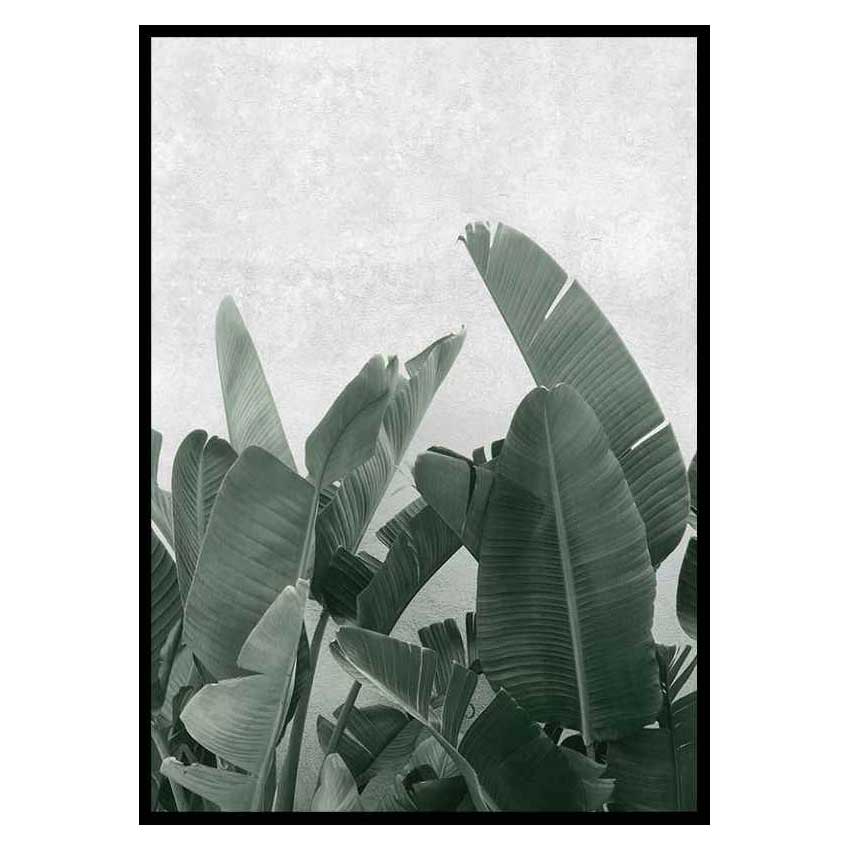 Poster Gallerix Banana leaves No3