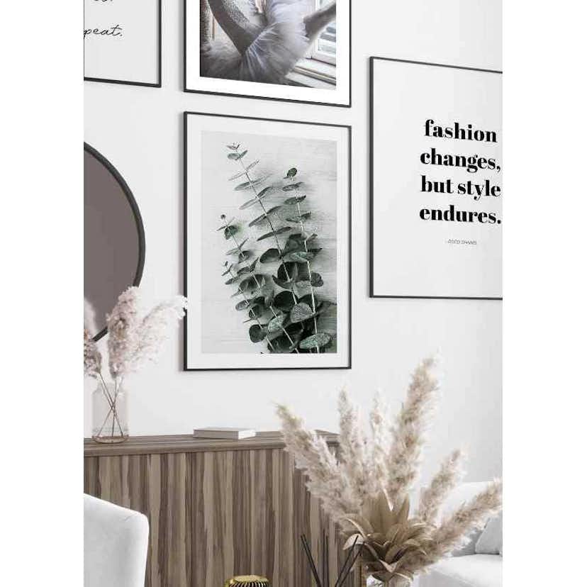 Poster Gallerix Eucalyptus No6