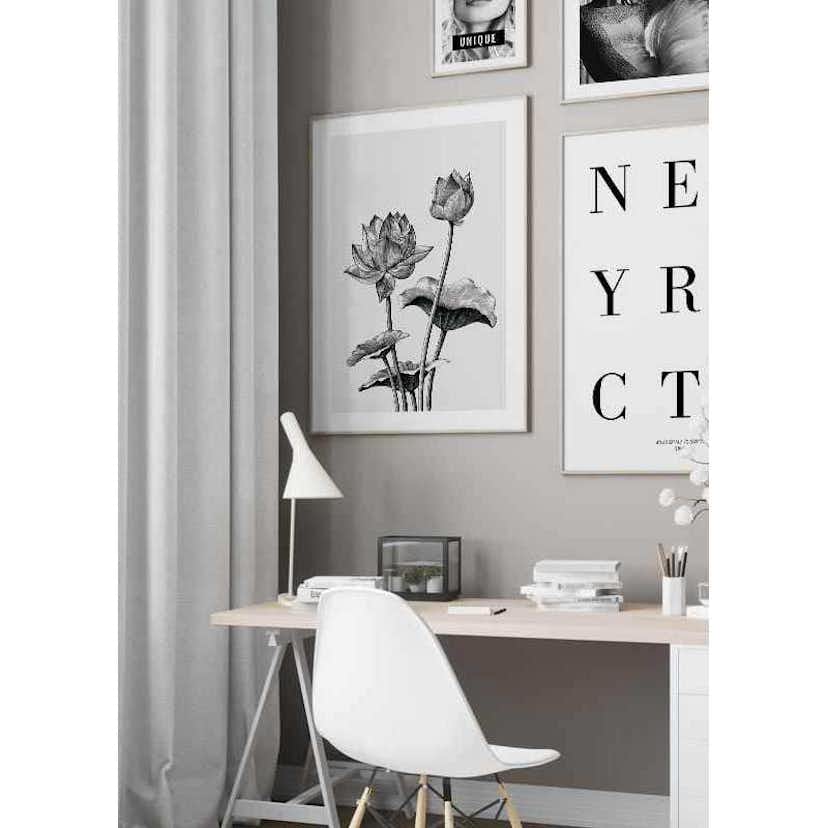 Poster Gallerix Sketched Flowers