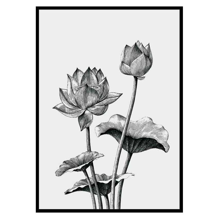 Poster Gallerix Sketched Flowers