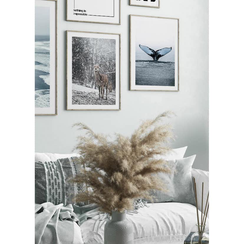 Poster Gallerix Humpback Whale