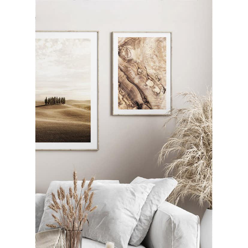 Poster Gallerix Cypress trees