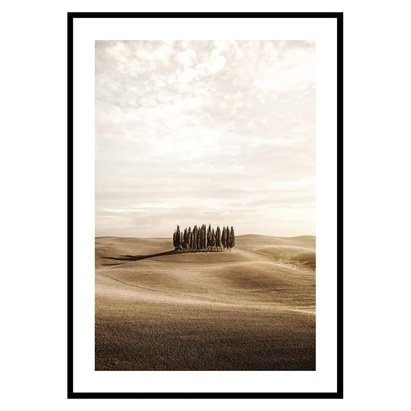 Poster Gallerix Cypress trees