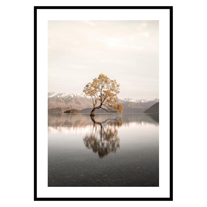 Poster Gallerix The Lonely Tree