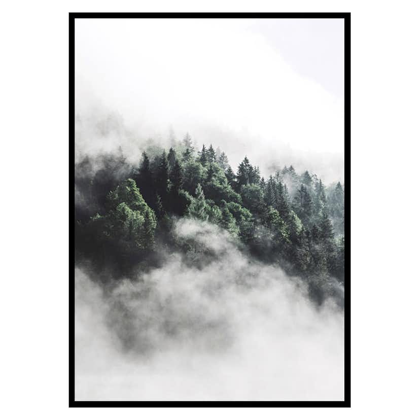Poster Gallerix Forest In Mist