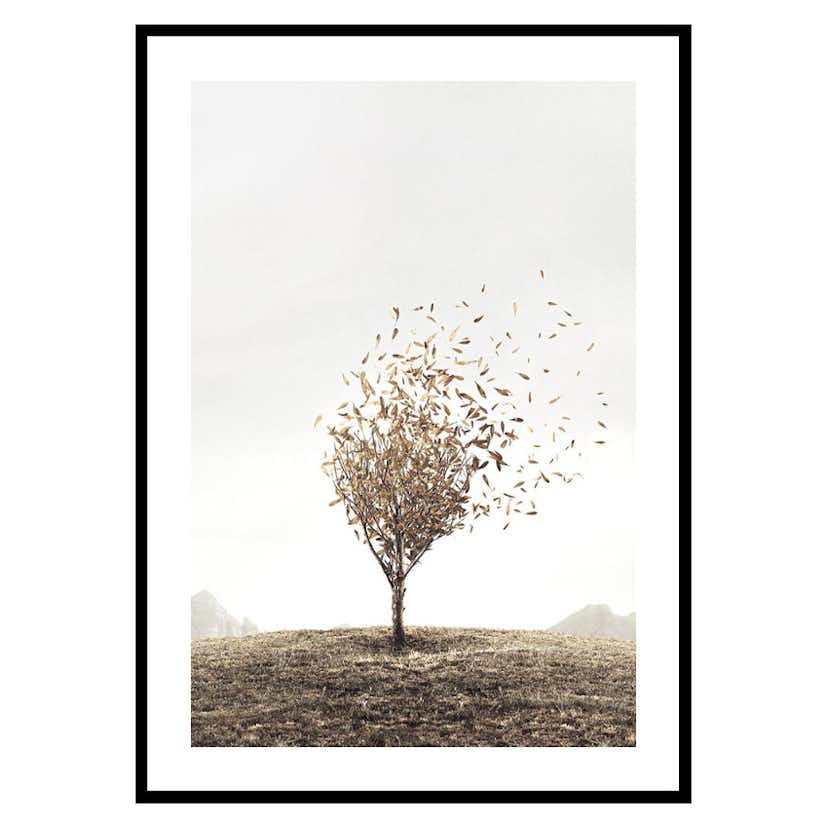 Poster Gallerix Blowing Away